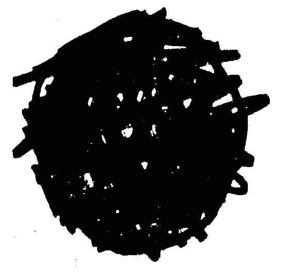 When Gendarme Sleeps logo